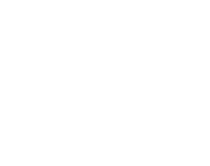 Logo Tiny Events Logo Tiny Events